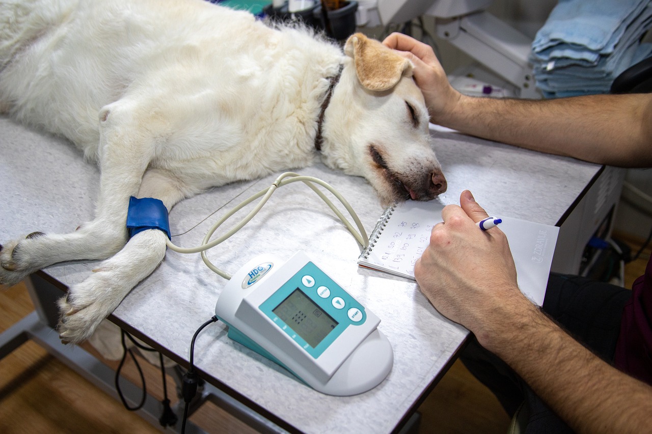 animal clinics in Colombo